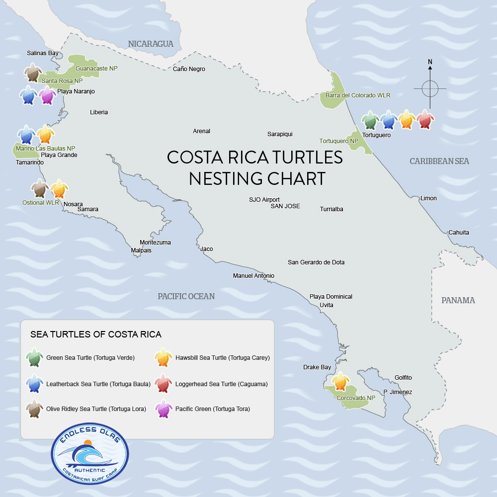 costa-rica-turtle-nesting-map